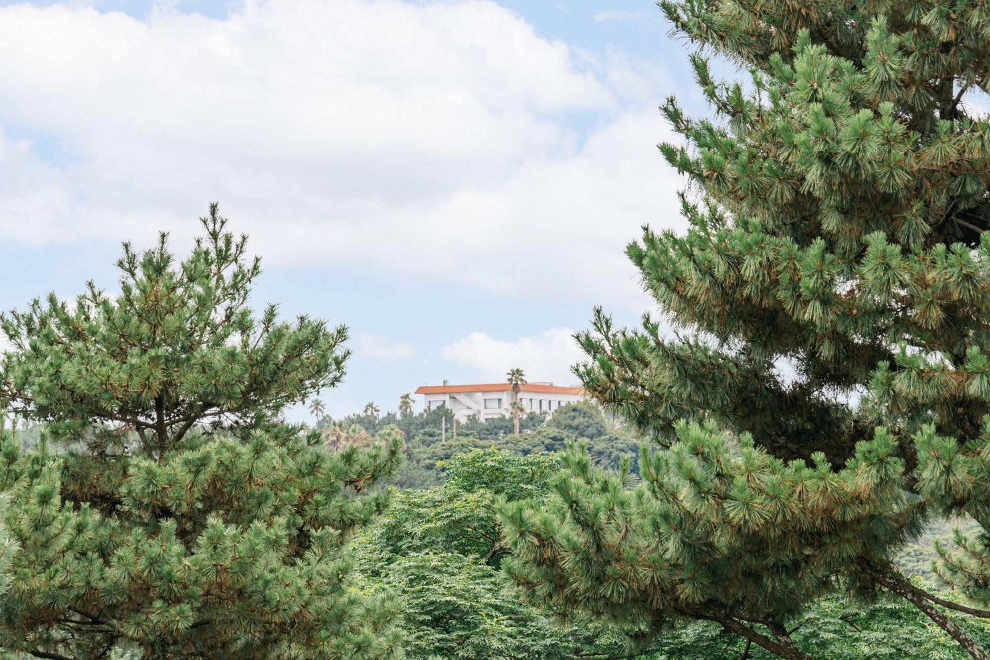 Heyy Seogwipo Hotel Dış mekan fotoğraf